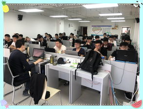 感恩相遇 在黑马程序员技术交流社区的成长与收获